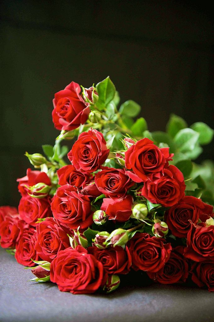 Fleurs Saint Valentin : Découvrez Le Langage Des Roses – Le Jardin de ma  Grand-Mère